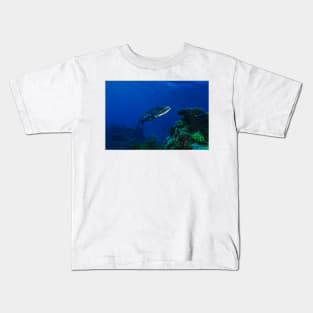 Barracuda on the Great Barrier Reef Kids T-Shirt